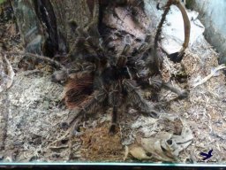 Tiergarten Schönbrunn am 27.01.2026